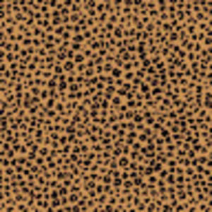 Meet your Posher, Angelika